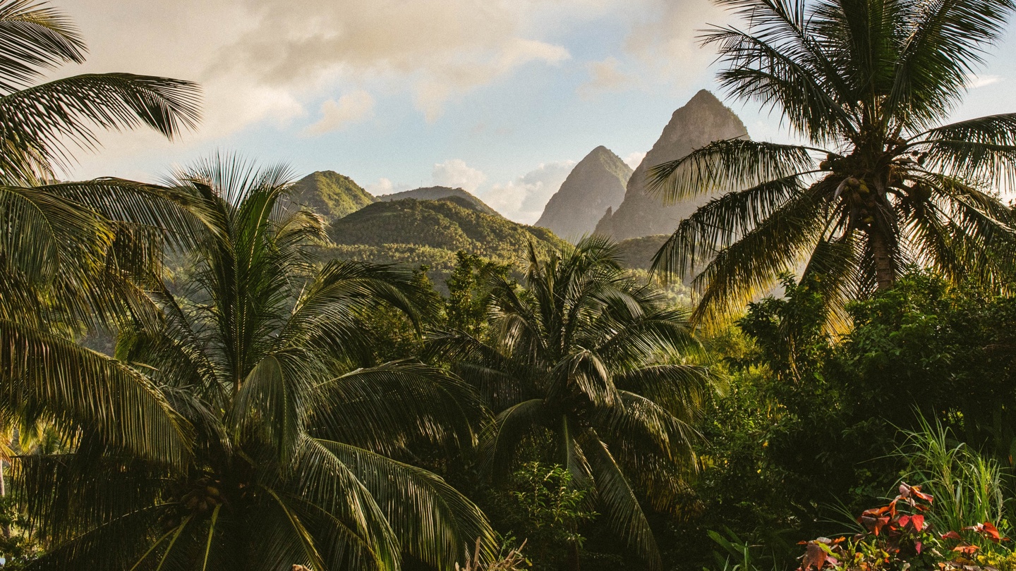 Corinne Kutz Jiqygllziqs Unsplash